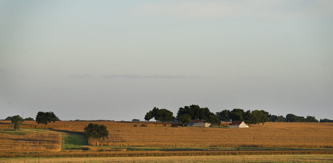 Good Late July Light