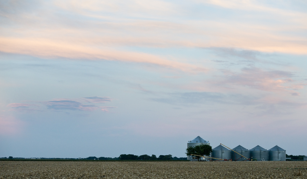 Good Late July Light