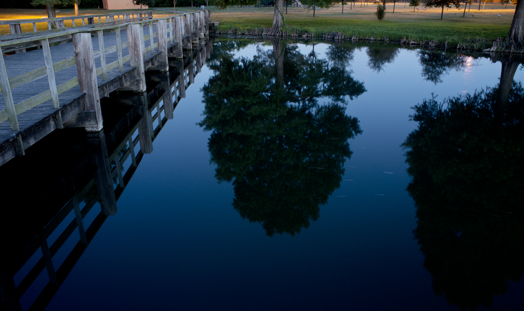 Morning Light @ Bull Branch Park
