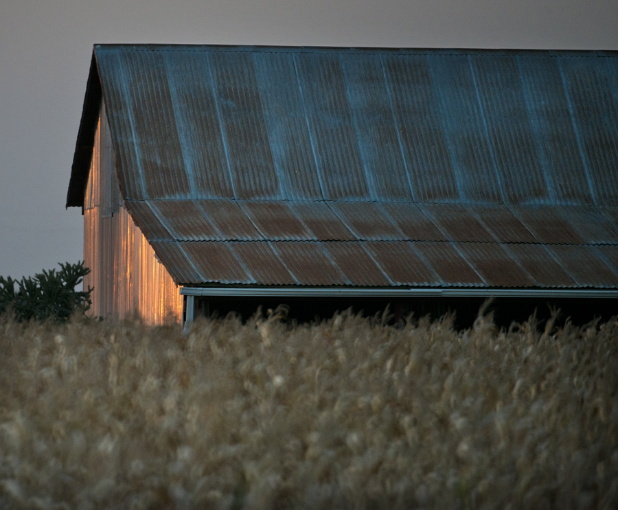 Shiny Barn & Corn