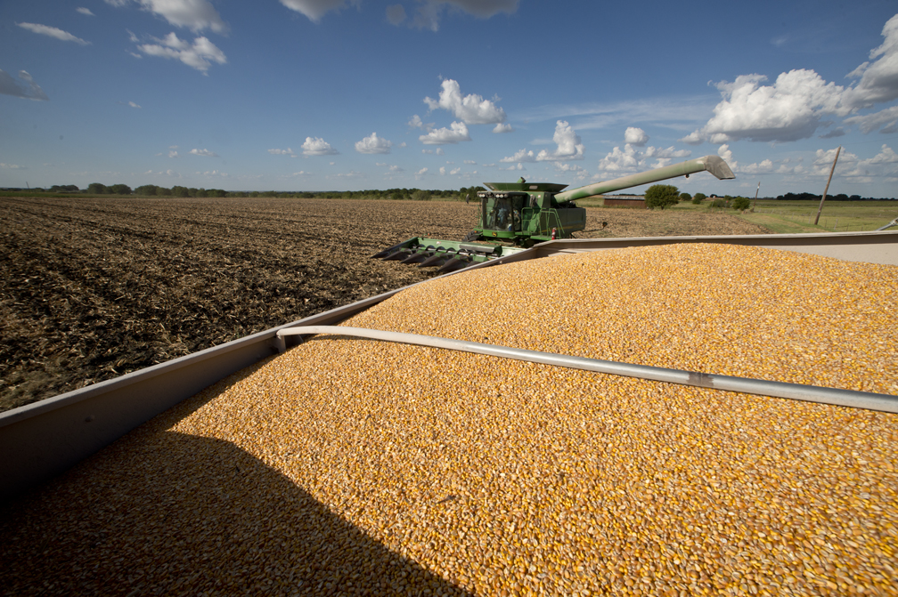 2016 Corn Harvest