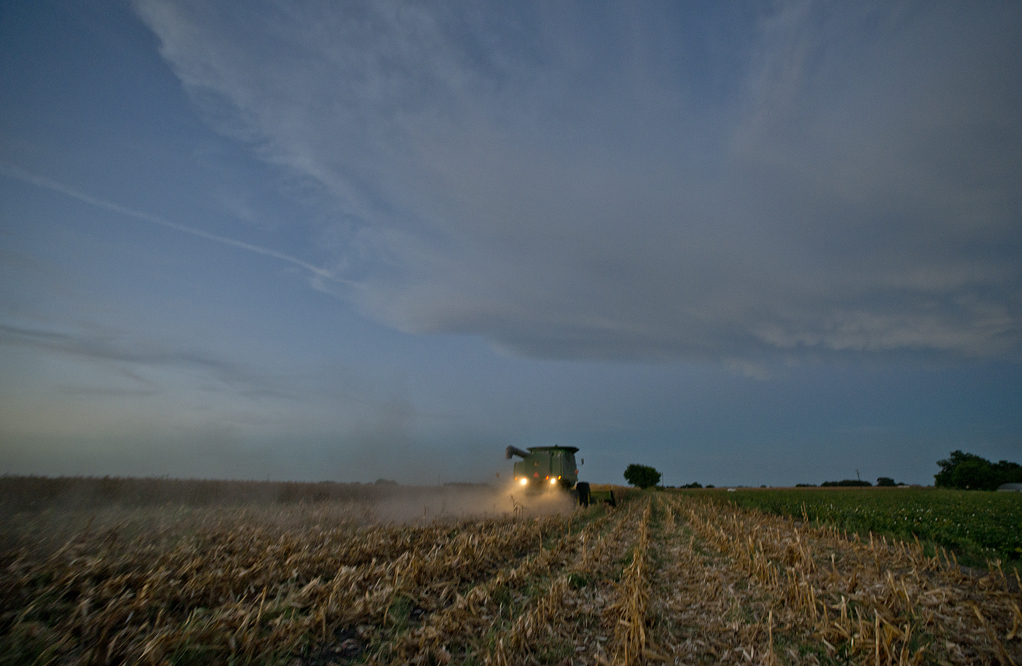 2016 Corn Harvest