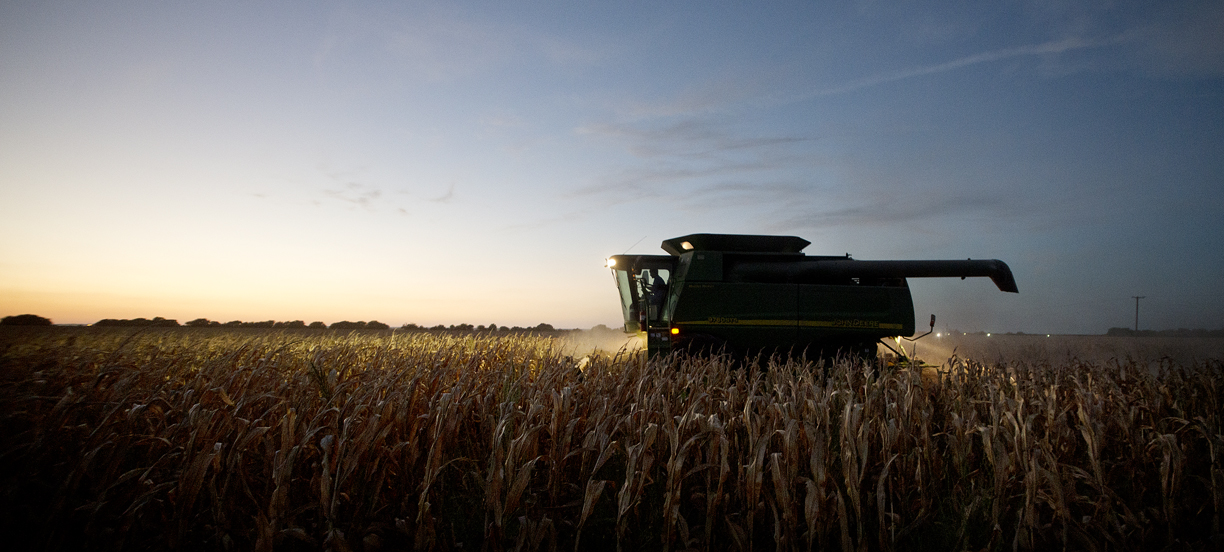 2016 Corn Harvest
