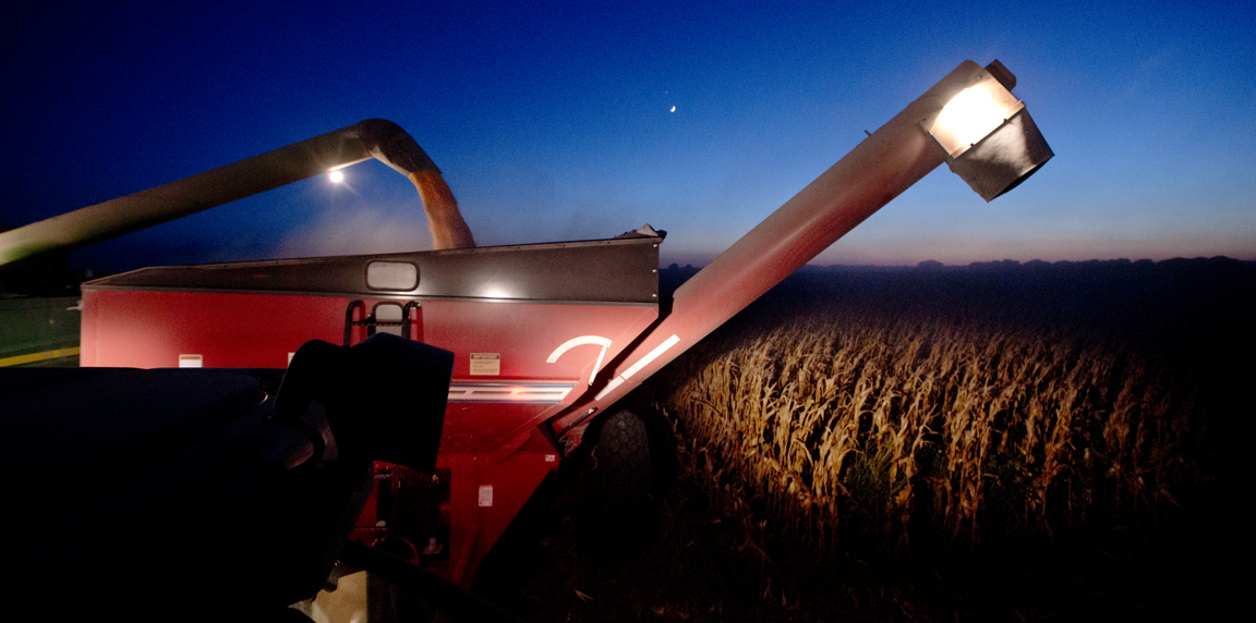 2016 Corn Harvest