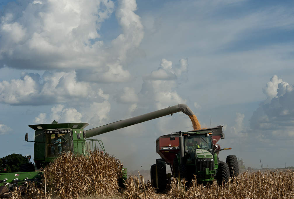 2016 Corn Harvest