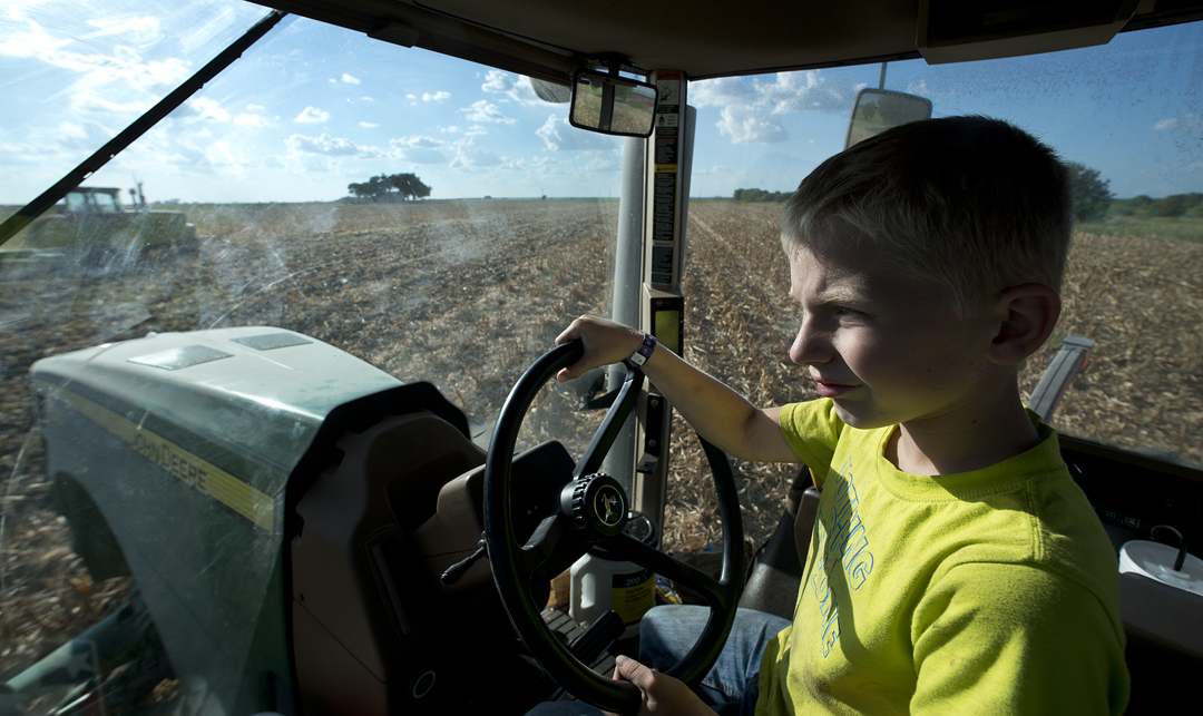 2016 Corn Harvest