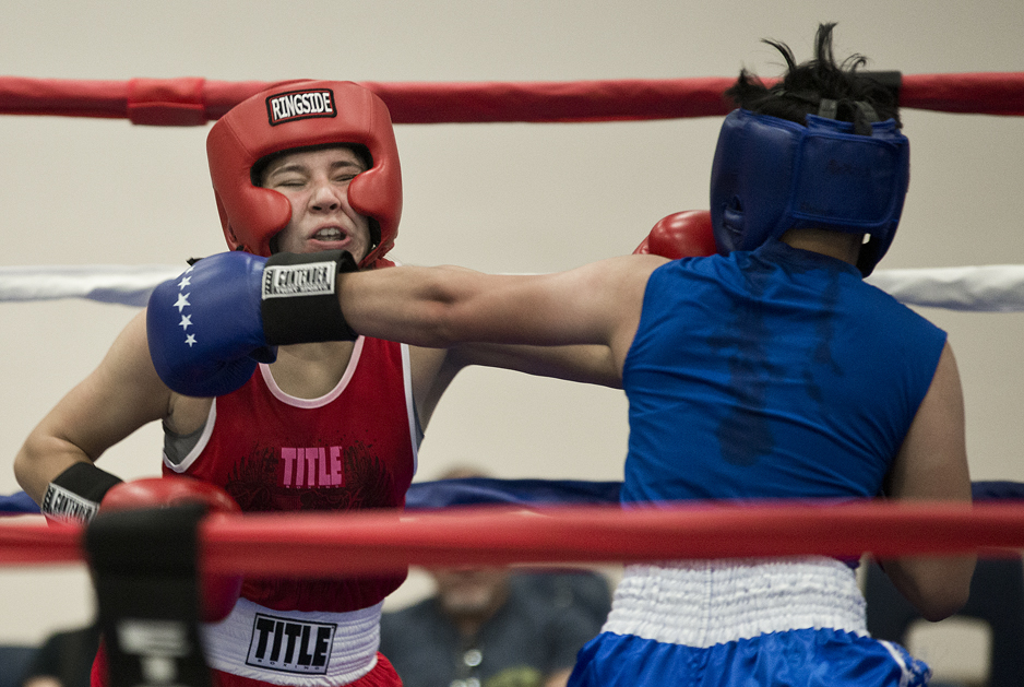 2016 Sterling Gloves Boxing