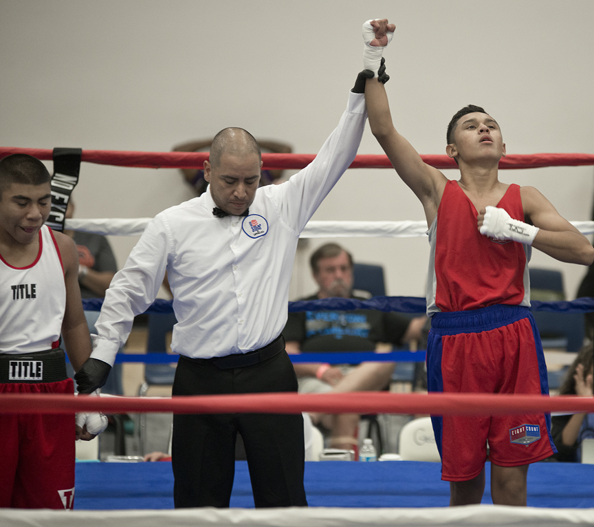 2016 Sterling Gloves Boxing