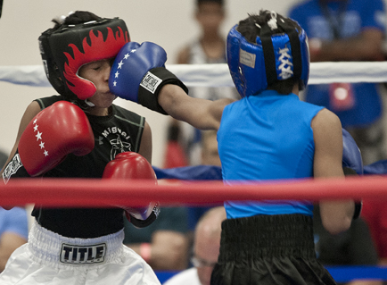 2016 Sterling Gloves Boxing