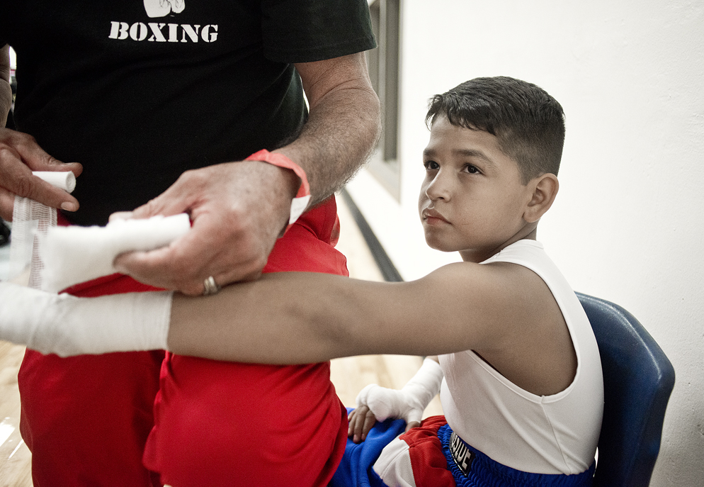2016 Sterling Gloves Boxing