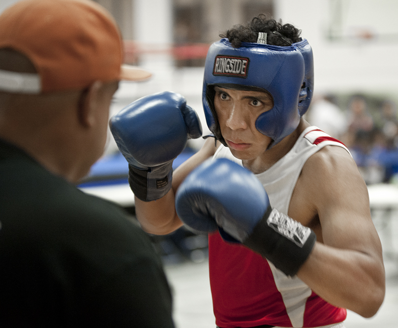 2016 Sterling Gloves Boxing