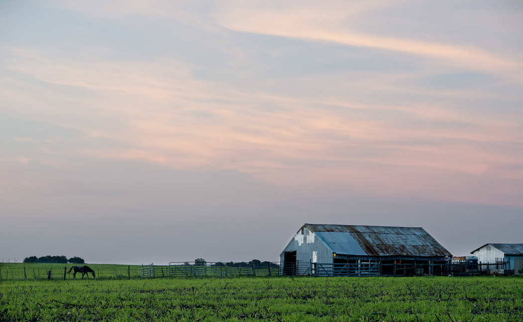 Barns on CR 369