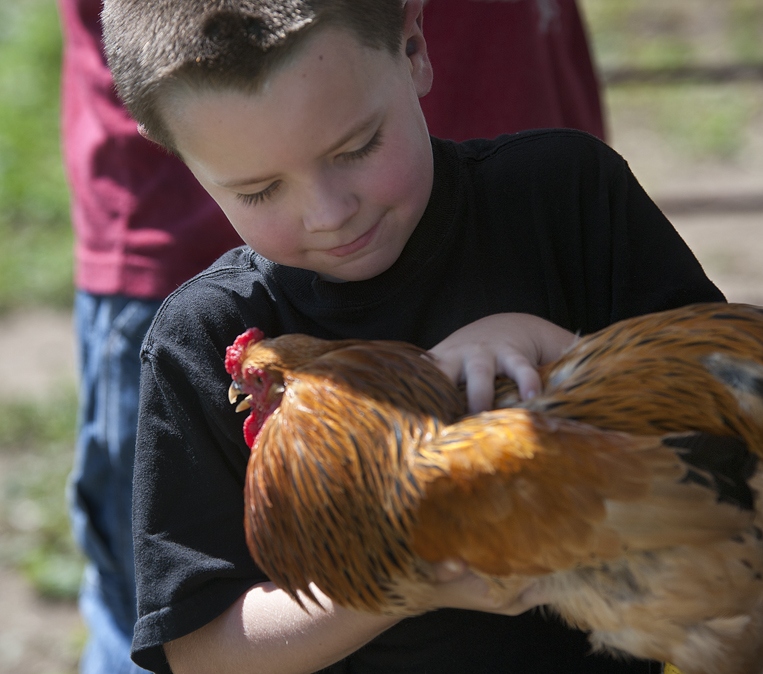 Family Farm Fest