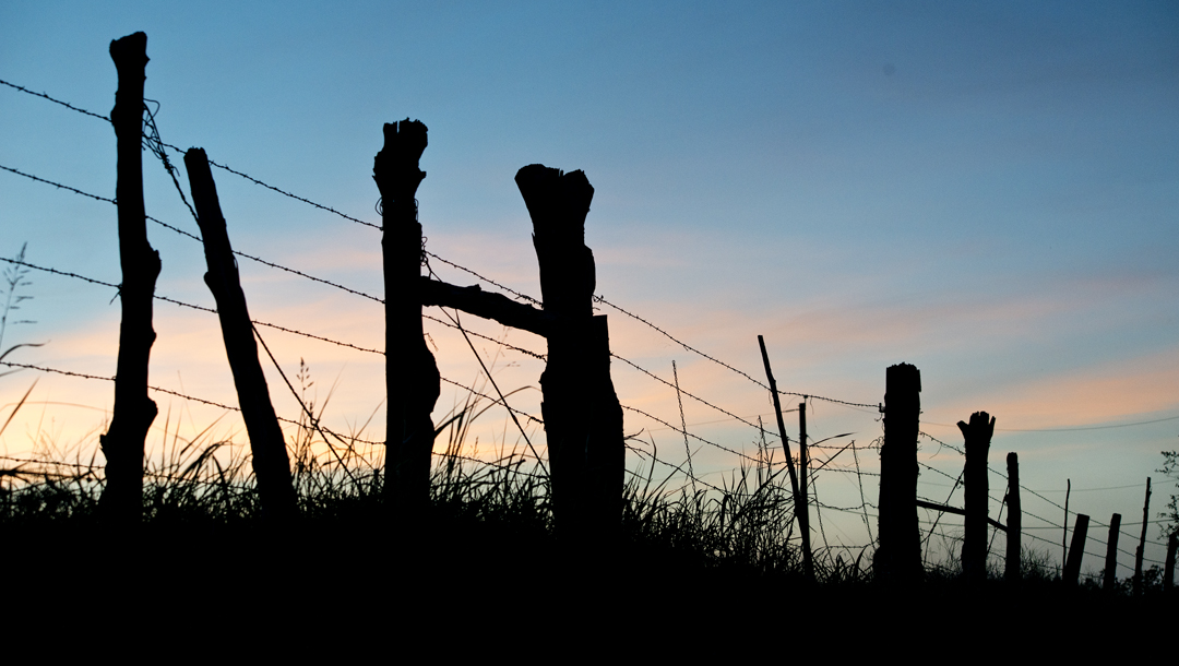 Fence Posts at Sunset
