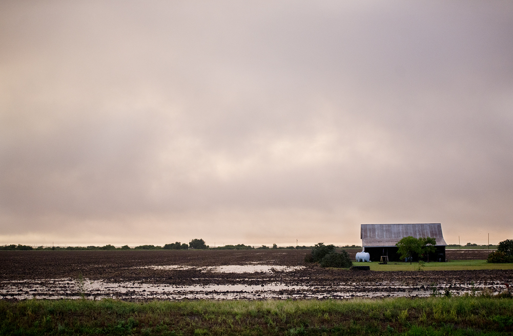 High Water in Wilco