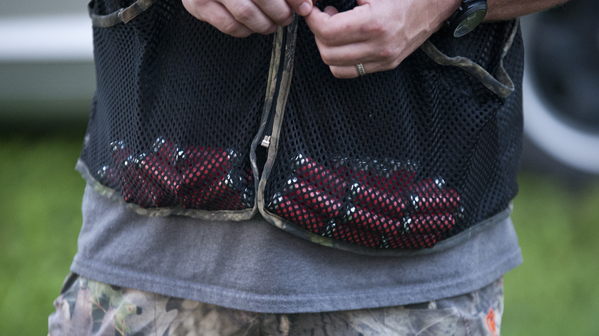 2016 Dove Hunting Season