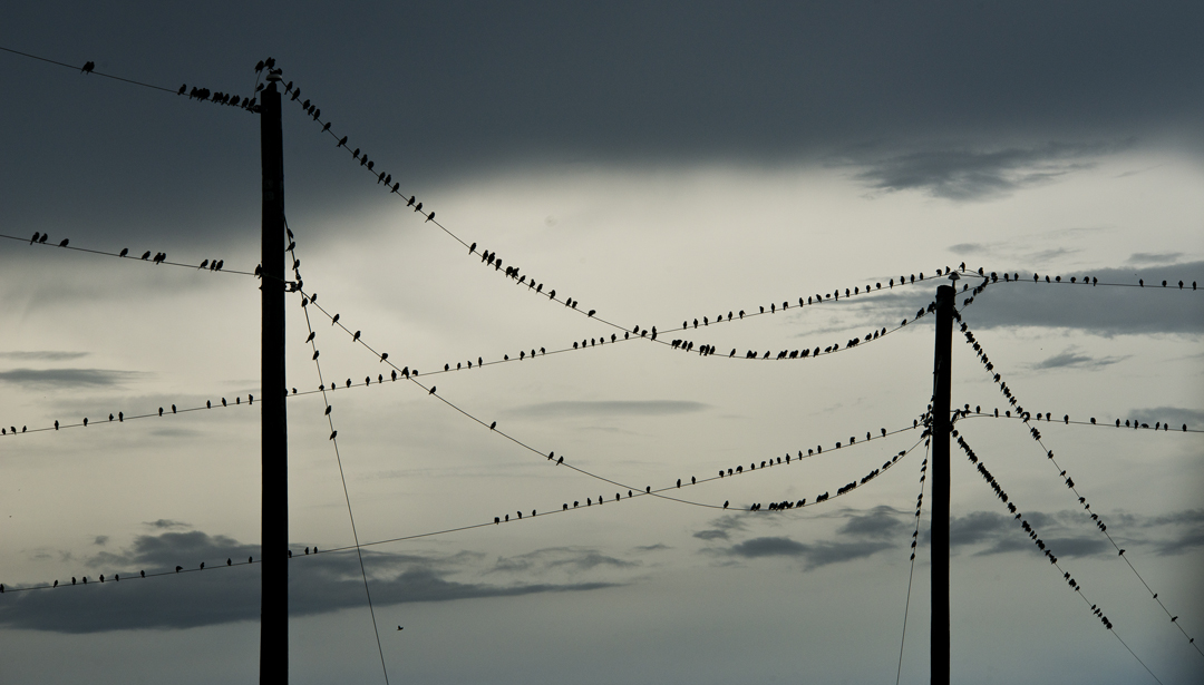 Birds & clouds on C.R. 419