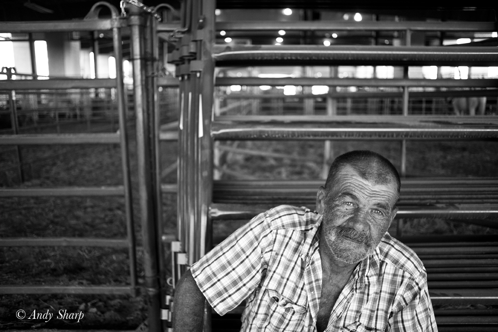 2016 Taylor Rodeo