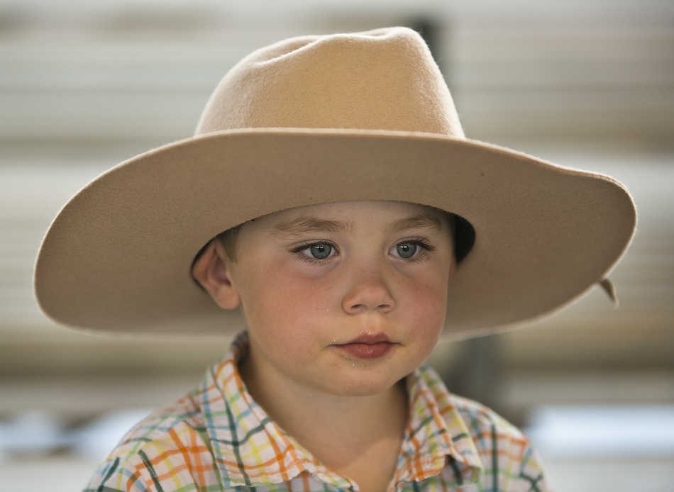 2016 Taylor Rodeo