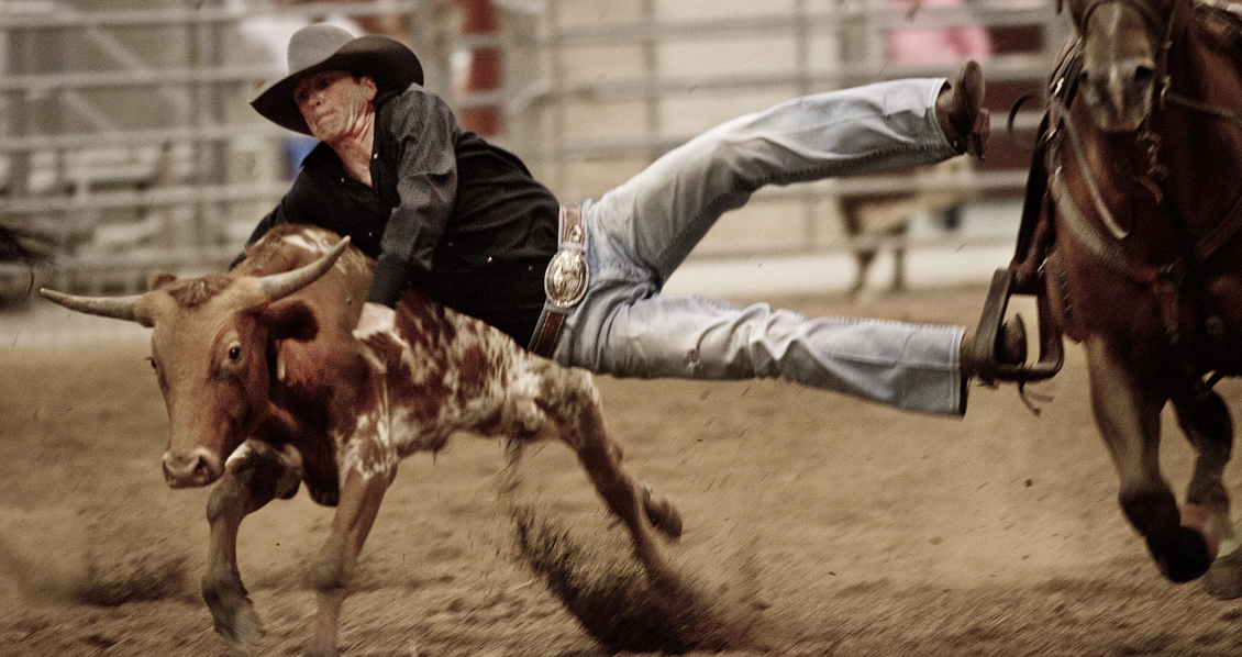 2016 Taylor Rodeo