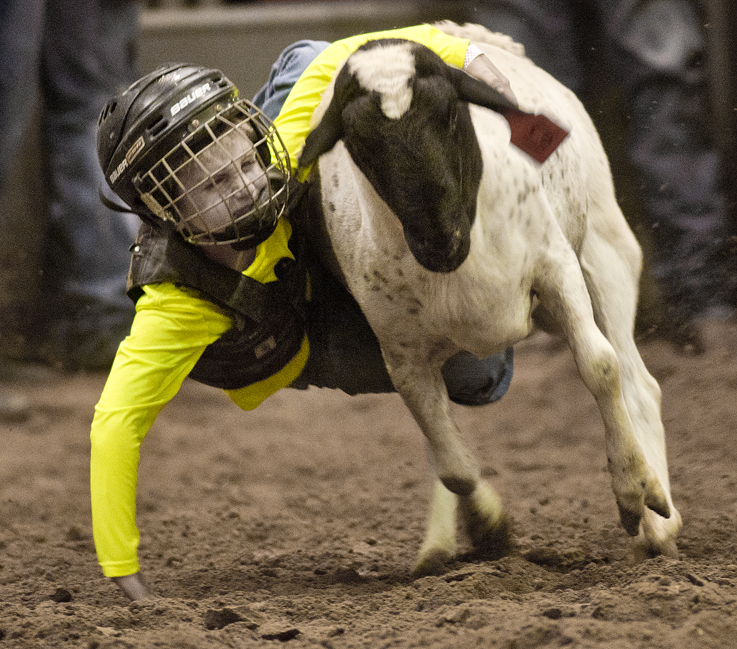 2016 Taylor Rodeo