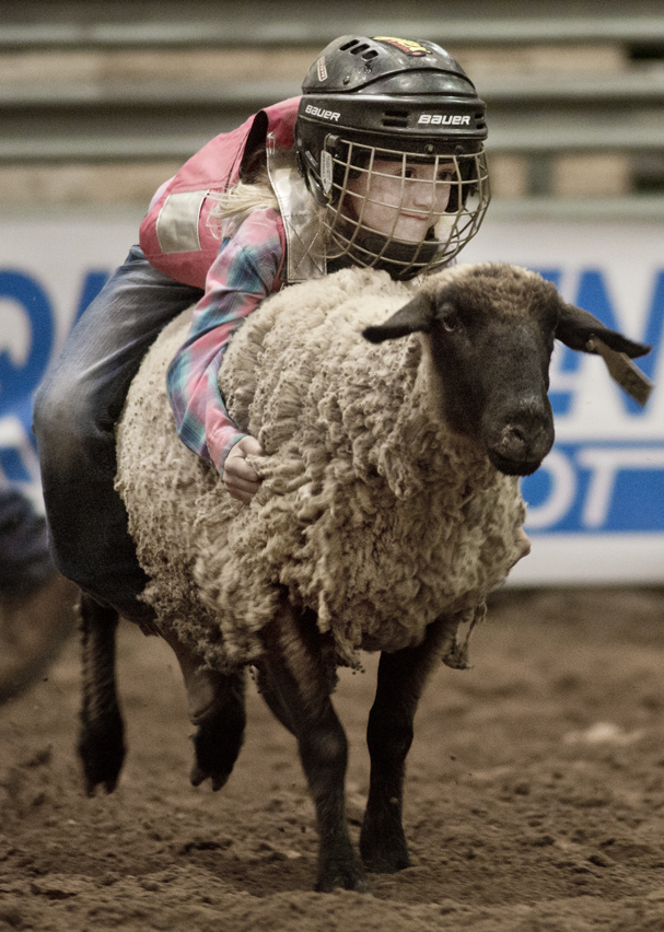 2016 Taylor Rodeo