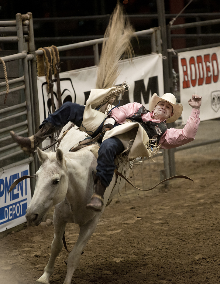 2016 Taylor Rodeo