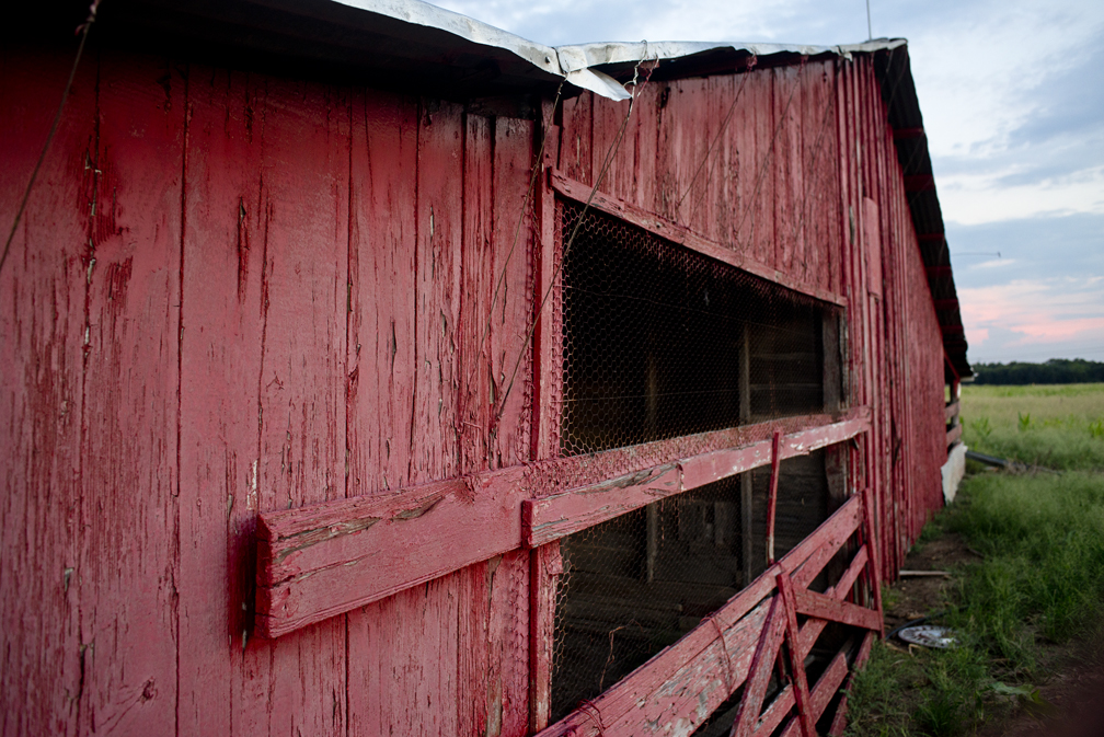 A Red Barn Revisit