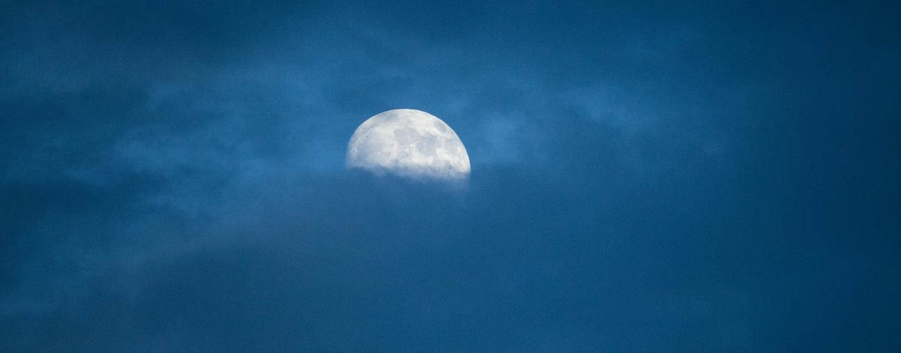 Birds, Moon & Sunset