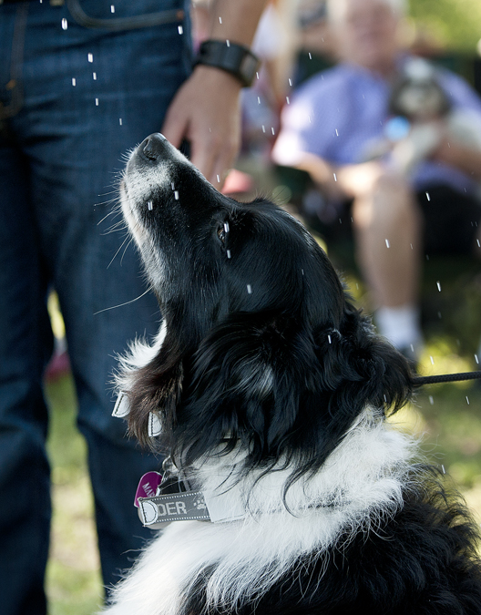 2016 Blessing of the Animals