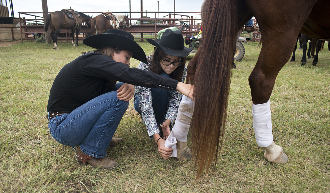 2016 Clayman Rodeo