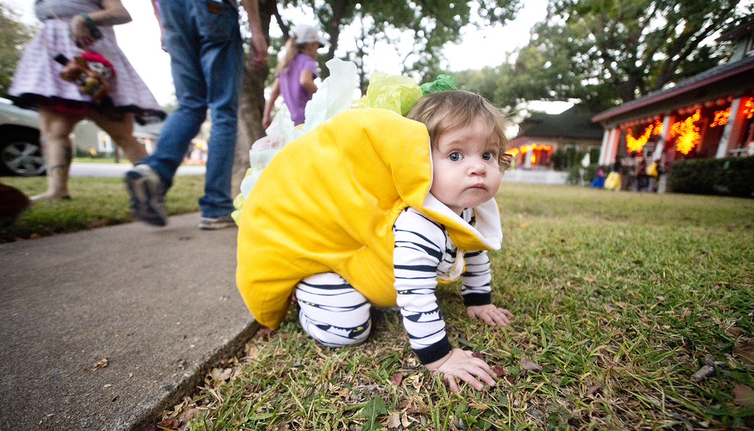 2016 Main Street Halloween