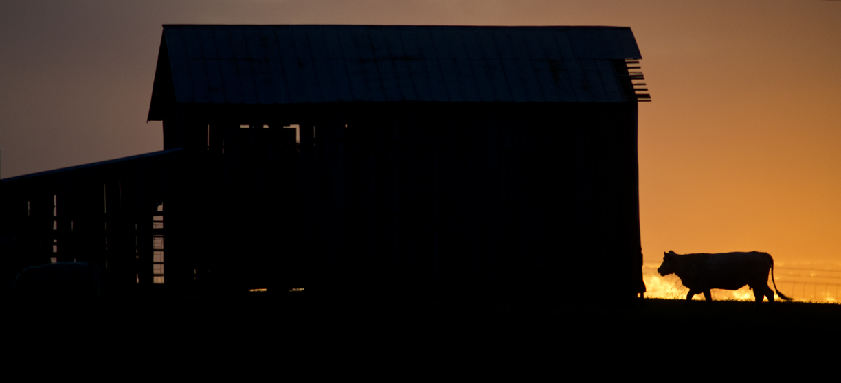 2016 October Sundown