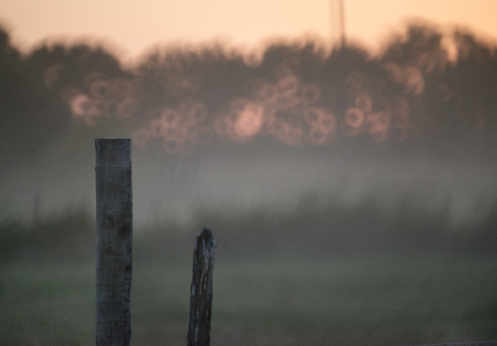 Early October Wandering