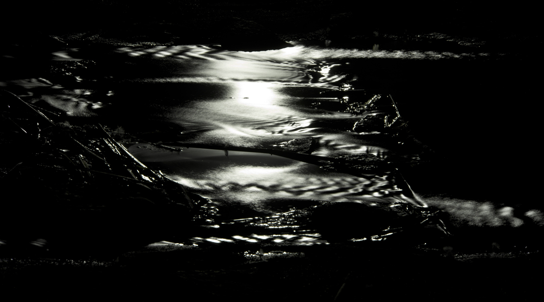 Early October Wandering