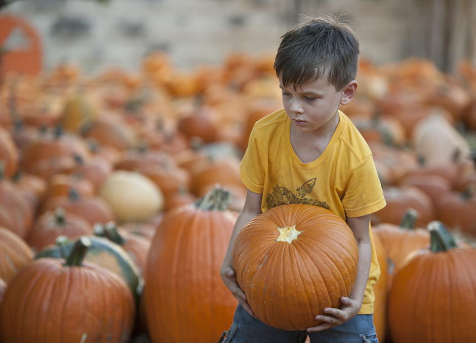 FUMC Pumpkins Delivered