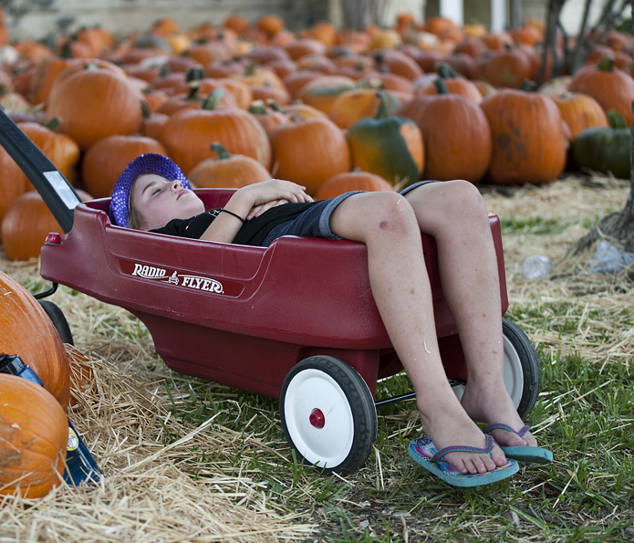 FUMC Pumpkins Delivered