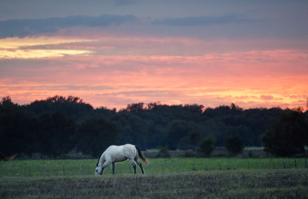 Late October Rambling