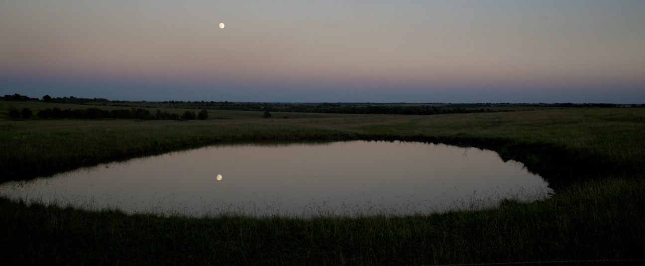 Night Stock Ponds