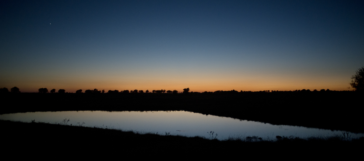 Night Stock Ponds