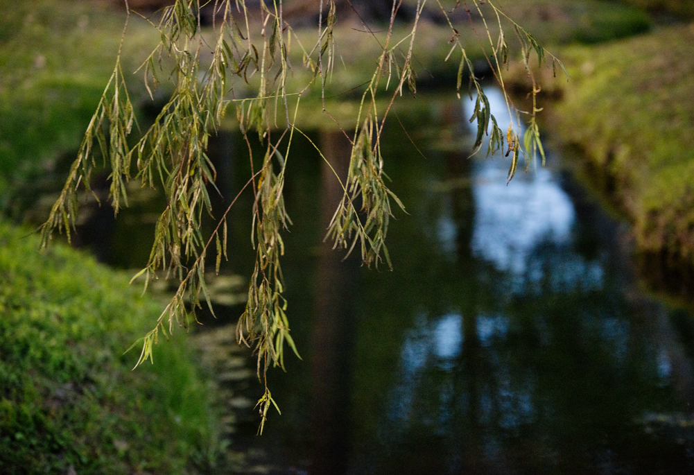 Bull Branch Park Water