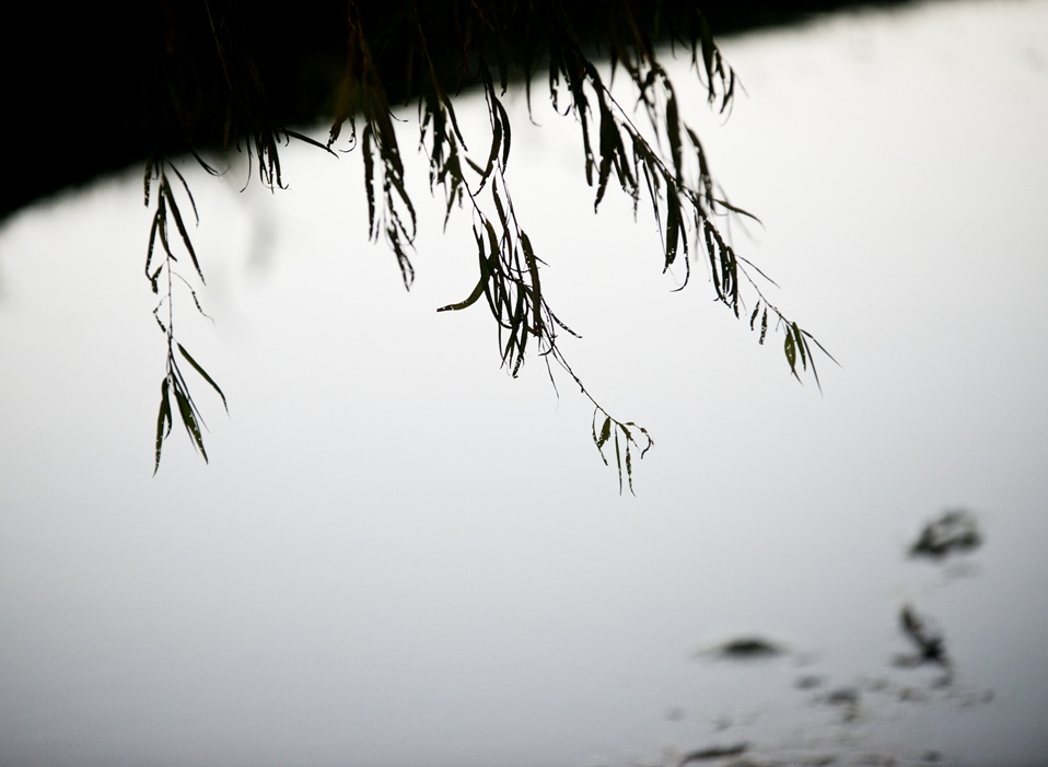 Bull Branch Park Water