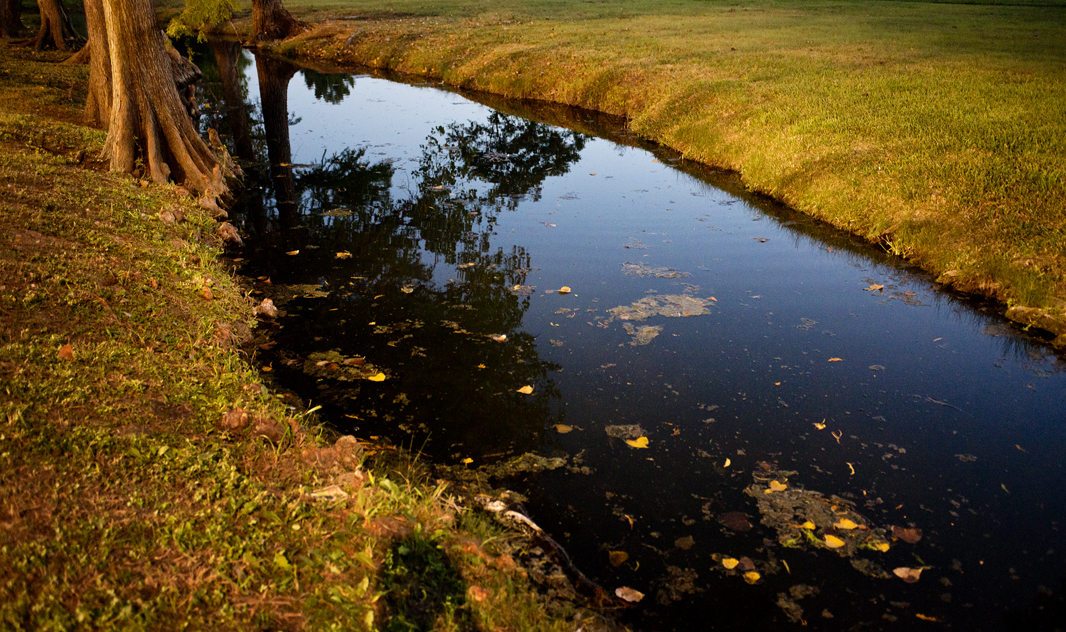 Bull Branch Park Water
