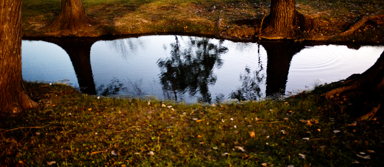 Bull Branch Park Water