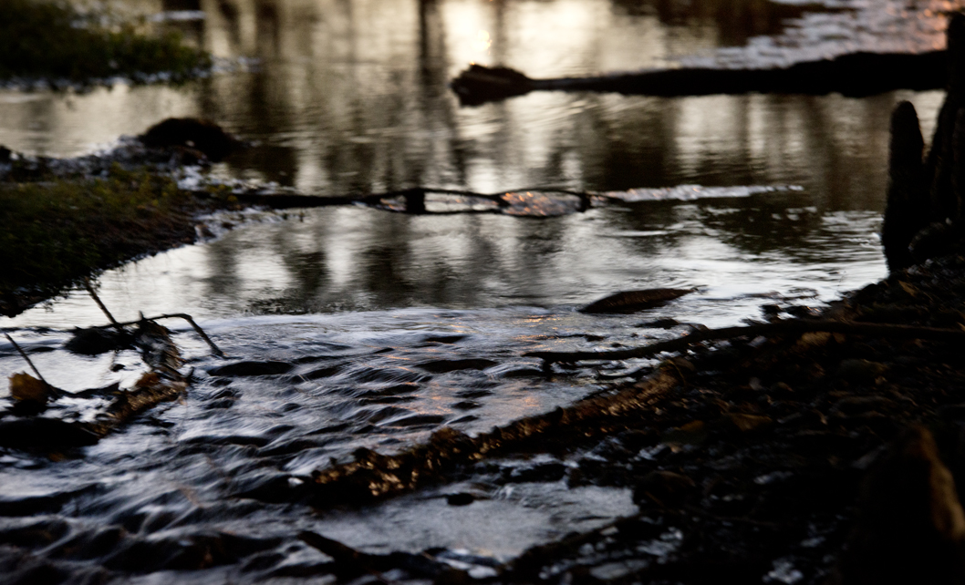 Bull Branch Park Water