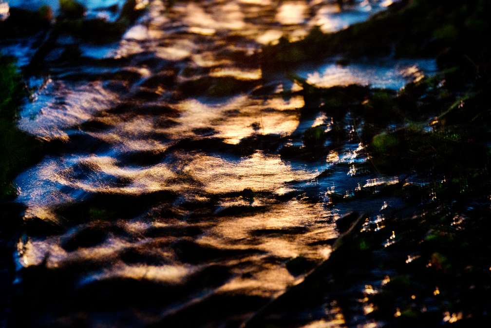 Bull Branch Park Water