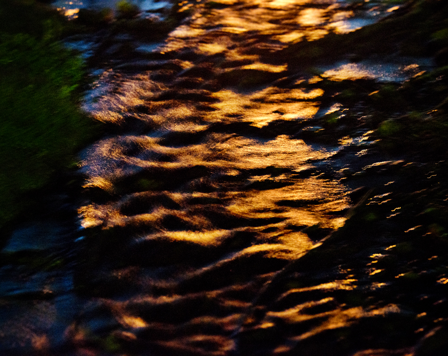 Bull Branch Park Water