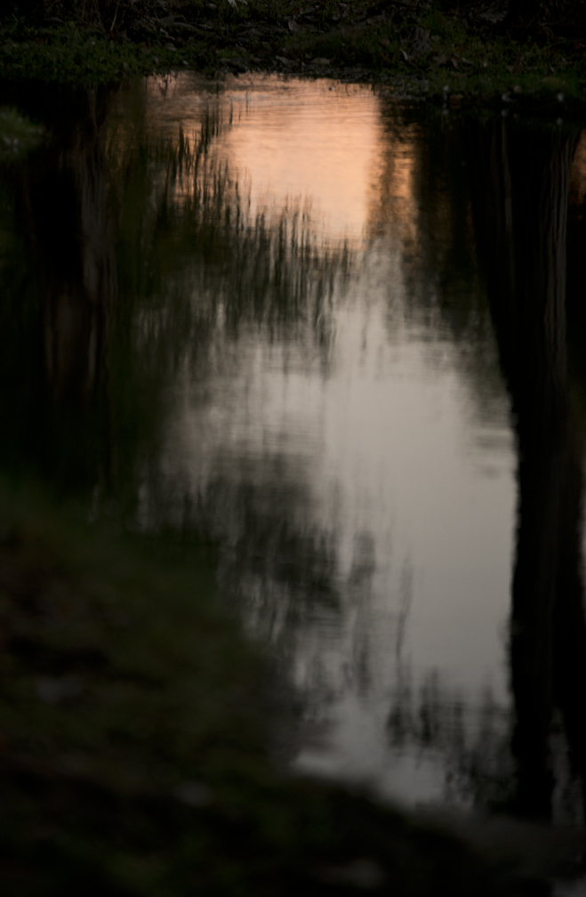 Bull Branch Park Water