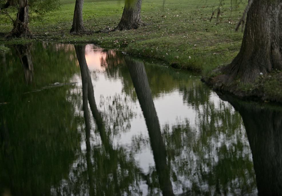 Bull Branch Park Water