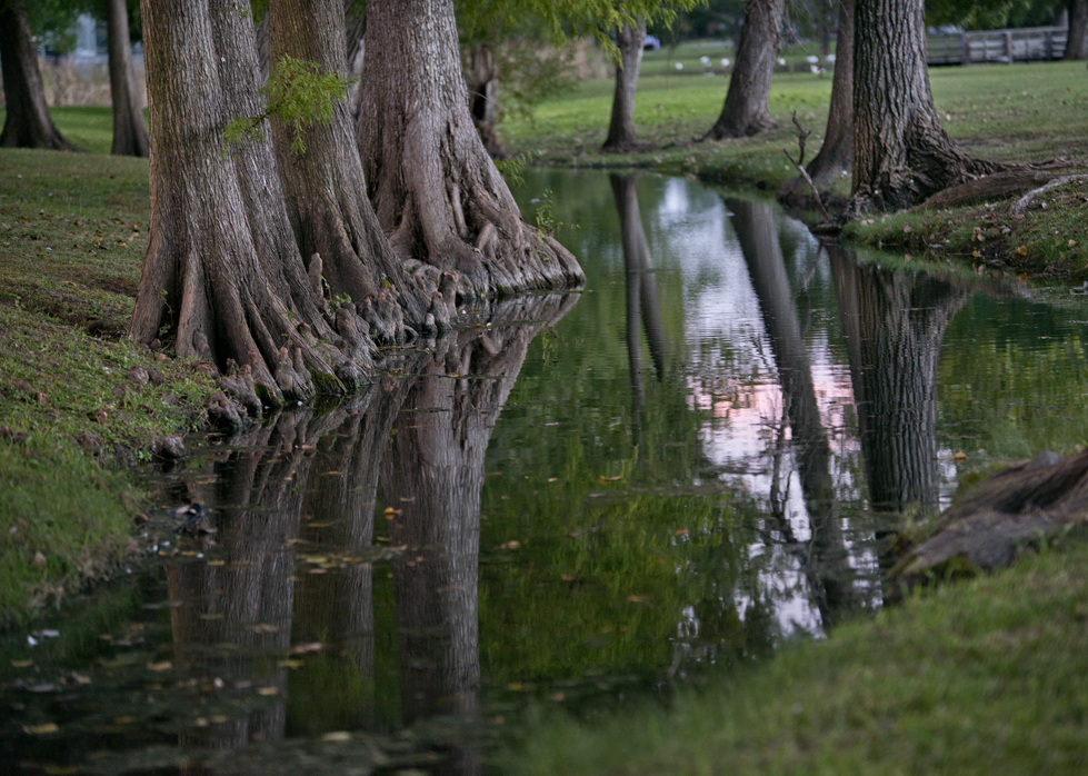 Bull Branch Park Water